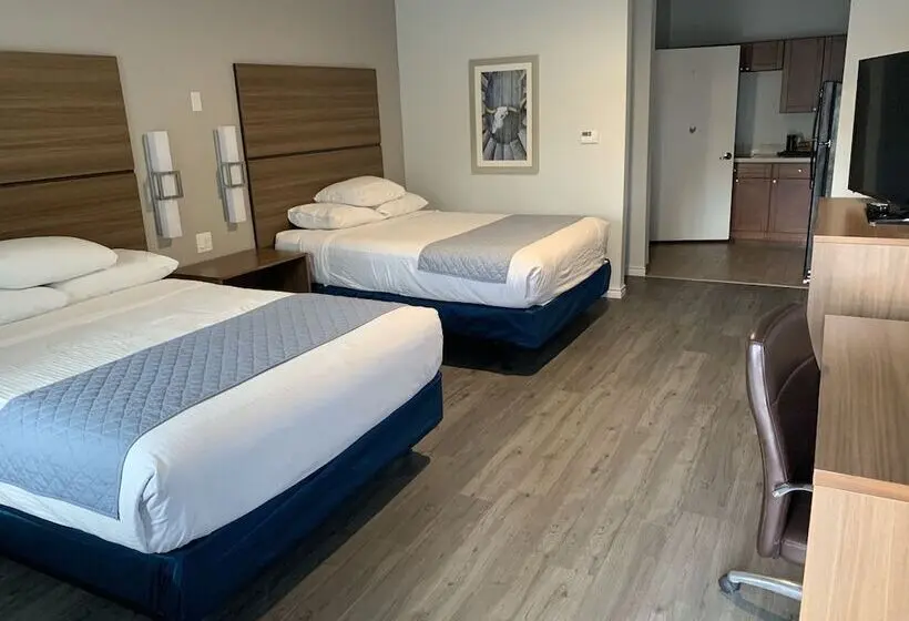 デラックスルーム, Americas Best Value Inn & Suites Porter North Houston