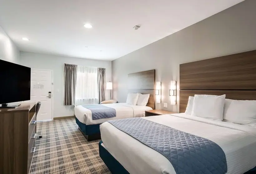 デラックスルーム, Americas Best Value Inn & Suites Porter North Houston