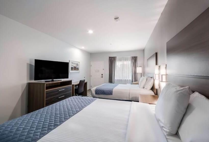 Номер Deluxe, Americas Best Value Inn & Suites Porter North Houston