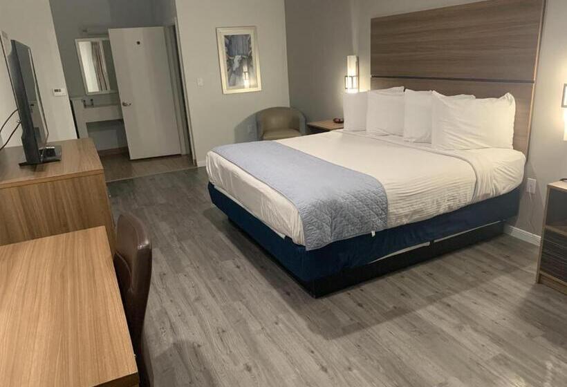 身障者適用キングサイズベッドルーム, Americas Best Value Inn & Suites Porter North Houston