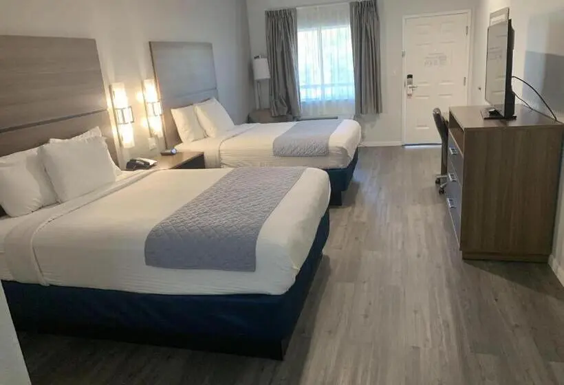 身障者適用スタンダードルーム, Americas Best Value Inn & Suites Porter North Houston