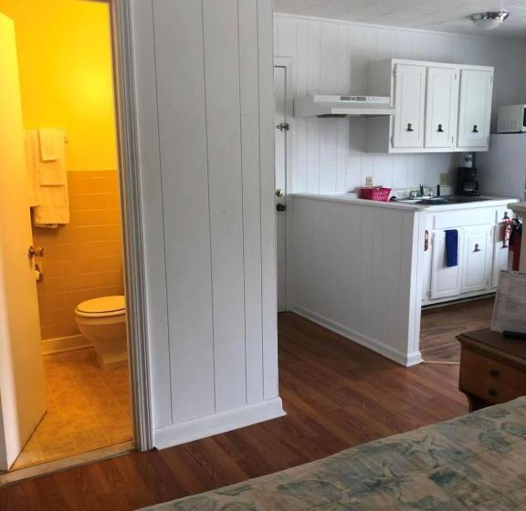 Студия Стандарт, Swell Motel