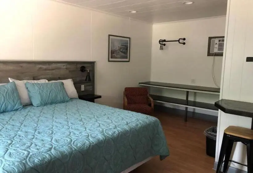 Standard-huone King-vuode, Swell Motel