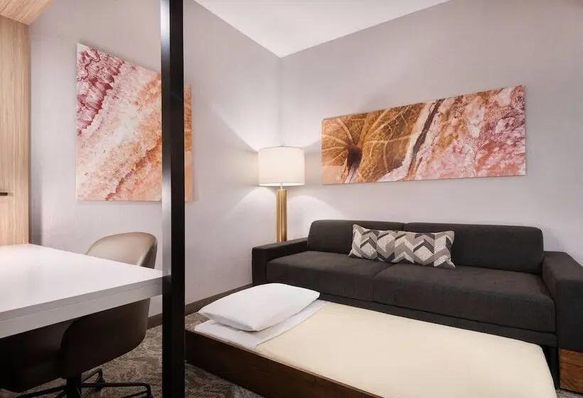 スイート, Springhill Suites By Marriott Tifton