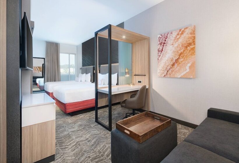 适合残疾人士使用的套间, Springhill Suites By Marriott Tifton