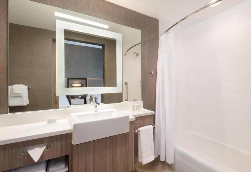 带大床的套房, Springhill Suites By Marriott Tifton