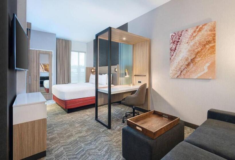 带大床的套房, Springhill Suites By Marriott Tifton