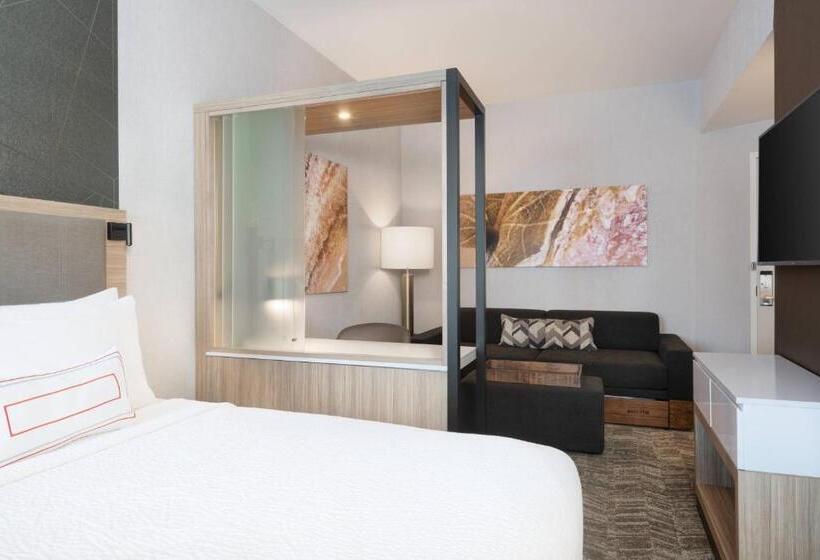 带大床的套房, Springhill Suites By Marriott Tifton