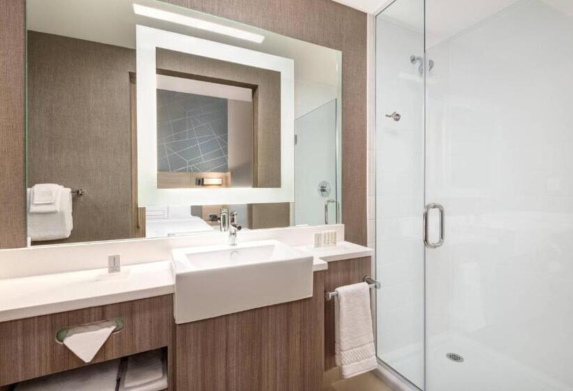 장애인을 위한 스위트, Springhill Suites By Marriott Tifton