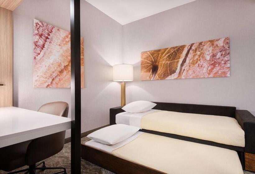 适合残疾人士使用的套间, Springhill Suites By Marriott Tifton