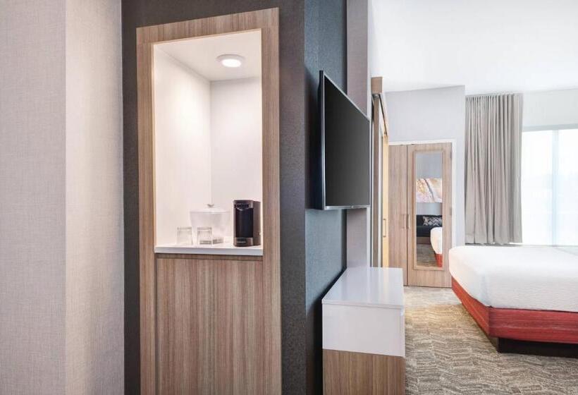 장애인을 위한 스위트, Springhill Suites By Marriott Tifton