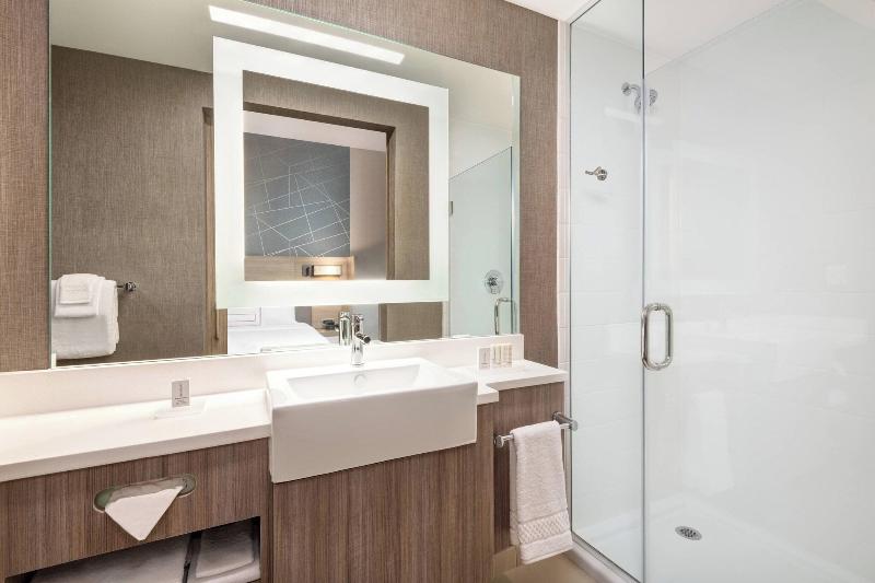 带大床的套房, Springhill Suites By Marriott Tifton