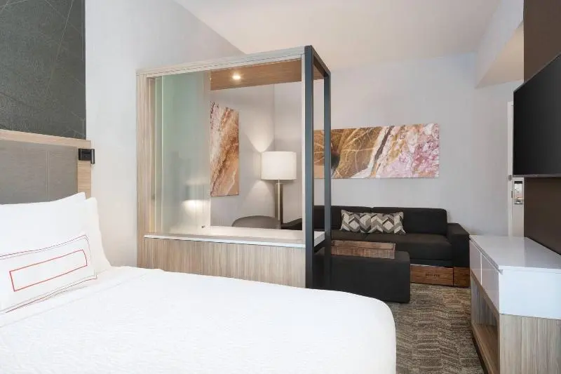 キングサイズベッドのスイートルーム, Springhill Suites By Marriott Tifton