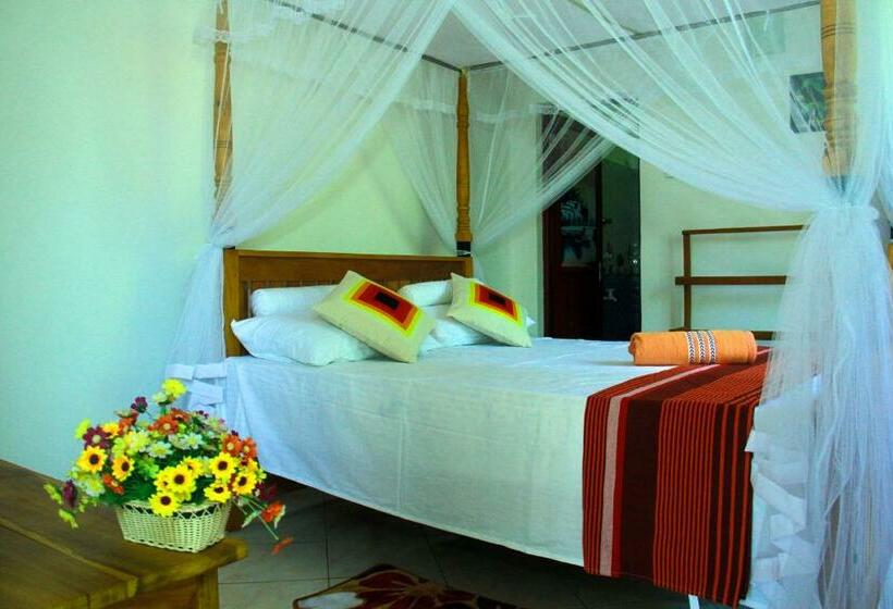 غرفة ديلوكس, Thusitha S Nest