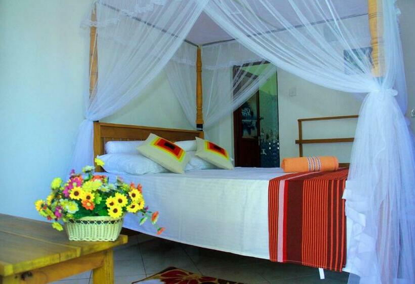 اتاق لوکس, Thusitha S Nest