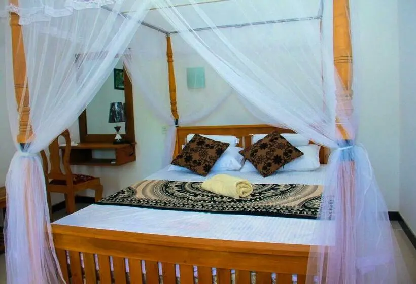 Economy Zimmer, Thusitha S Nest