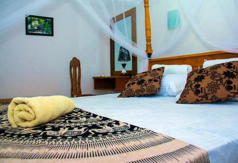 Economy Zimmer, Thusitha S Nest