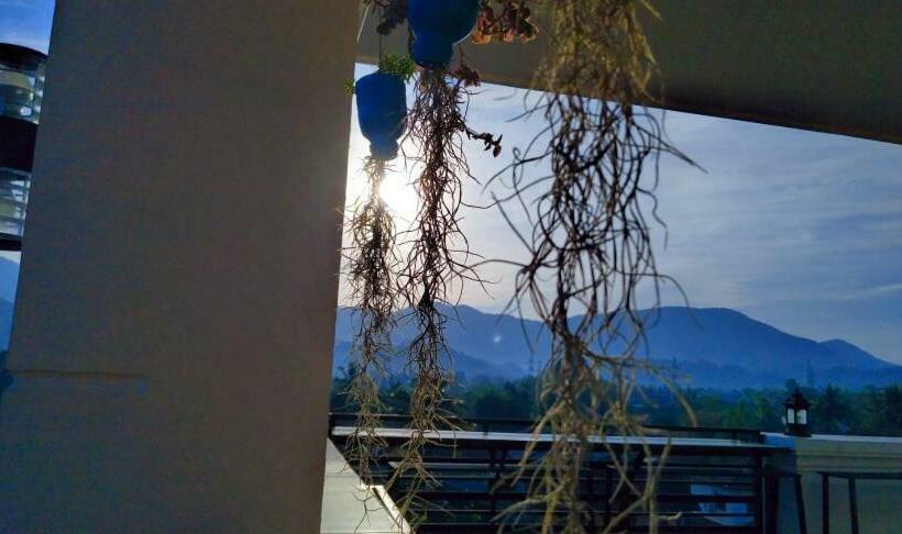 Номер Стандарт, Sd View