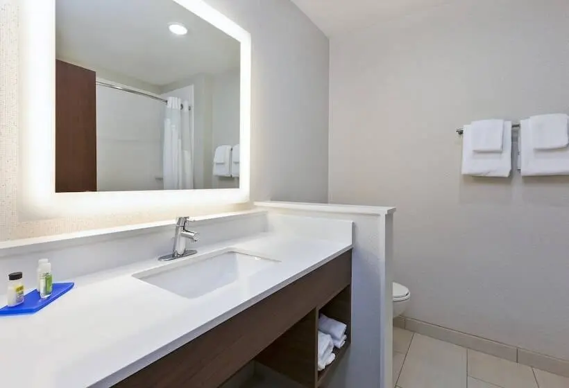 スイート, Holiday Inn Express & Suites   Painesville   Concord, An Ihg