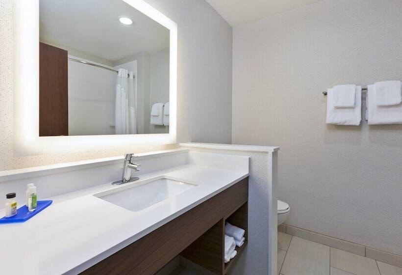Люкс Адаптированный для Инвалидов, Holiday Inn Express & Suites   Painesville   Concord, An Ihg