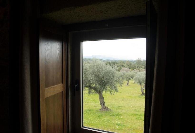 スタンダードルーム, Casas Do Regato