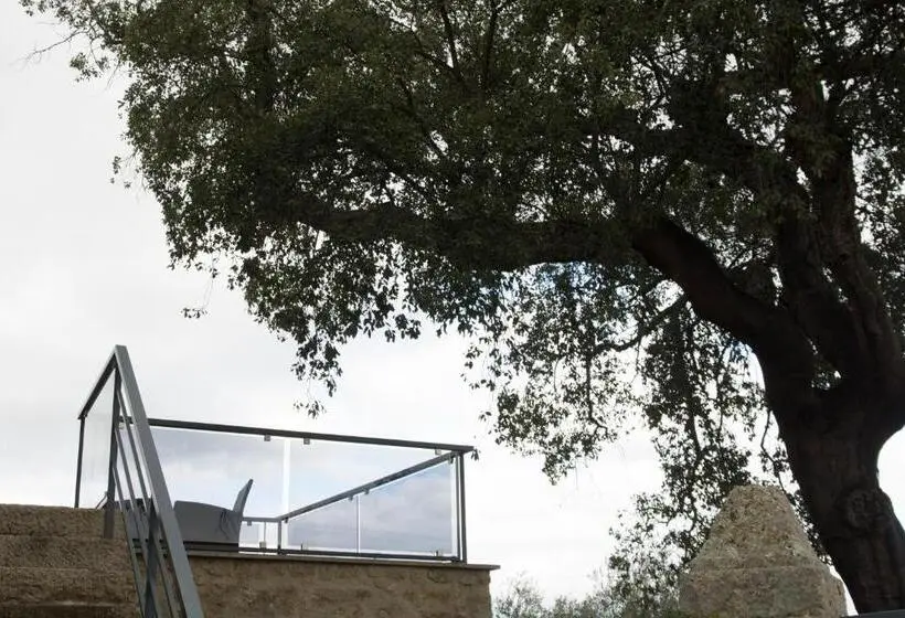 デラックススイート, Casas Do Regato