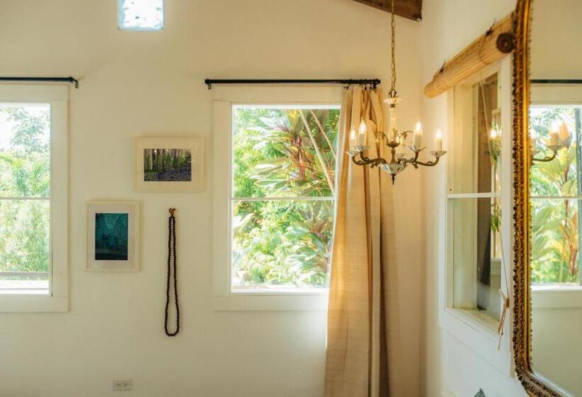 اتاق لوکس, Finca Victoria