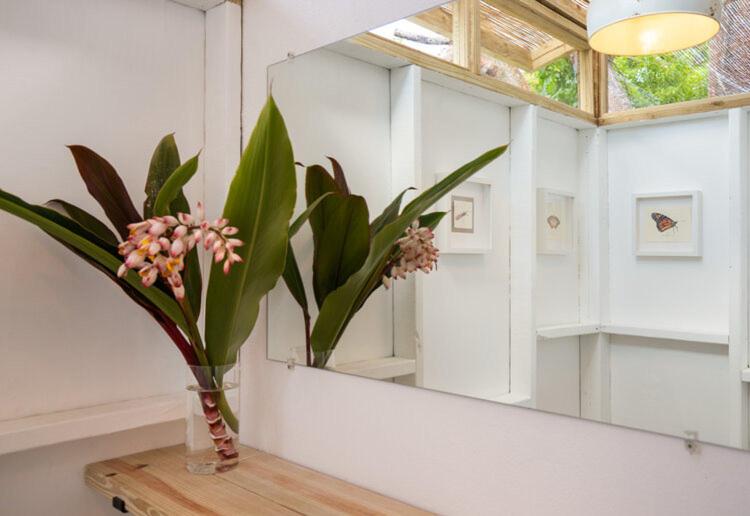 اتاق لوکس, Finca Victoria