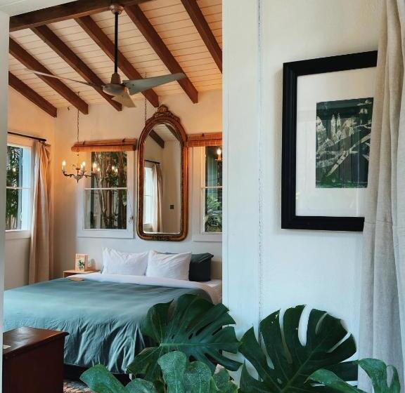 اتاق لوکس, Finca Victoria