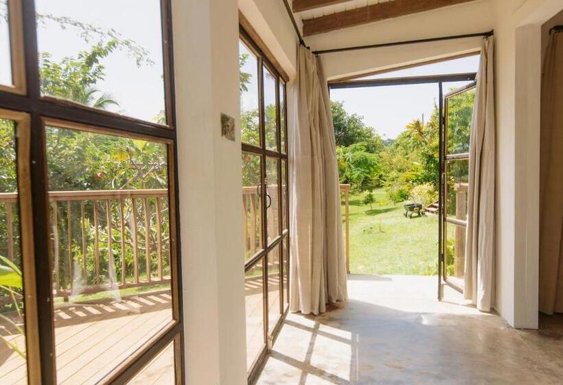 اتاق لوکس, Finca Victoria