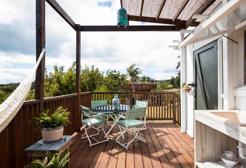 اتاق استاندارد, Finca Victoria