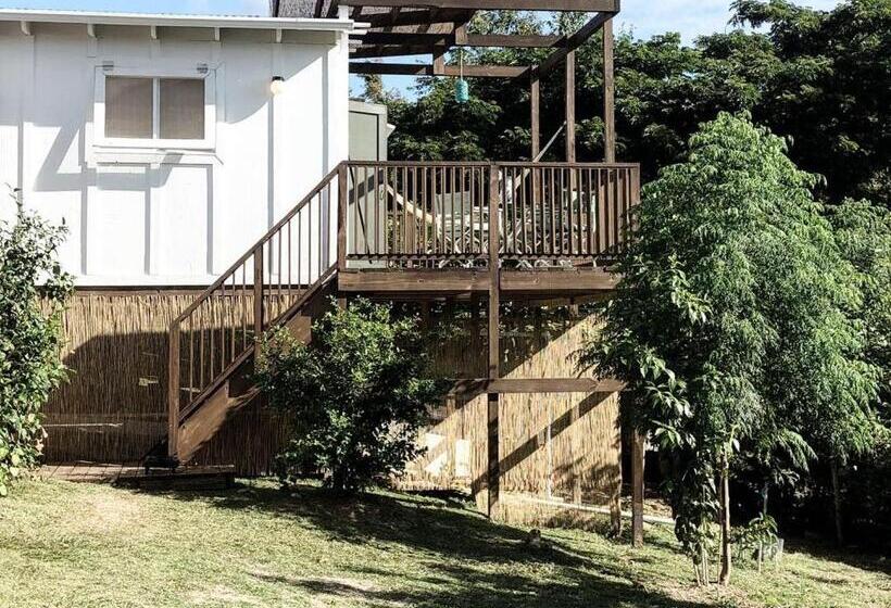 اتاق استاندارد, Finca Victoria