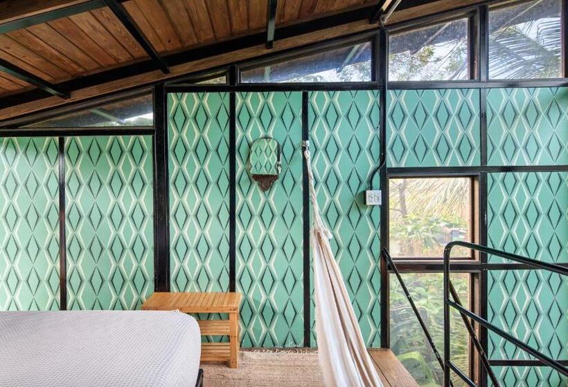 اتاق استاندارد با تراس, Finca Victoria