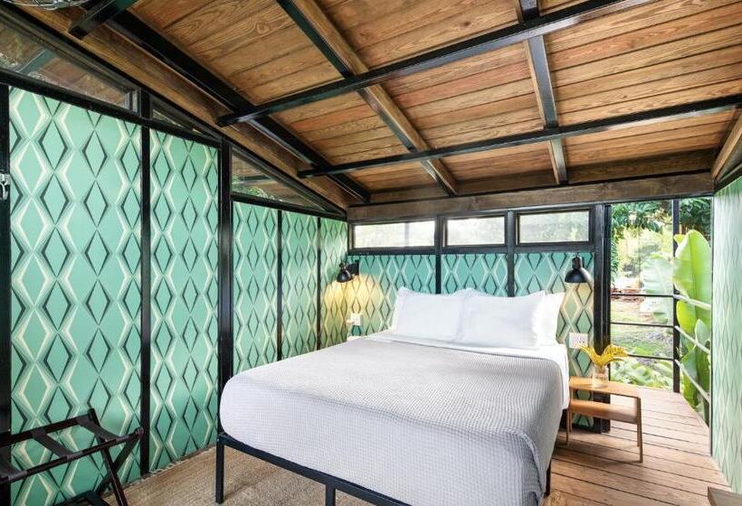 اتاق استاندارد با تراس, Finca Victoria