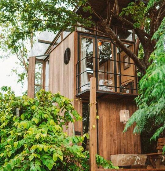 ویلای یک اتاق خوابه با استخر شنا, Finca Victoria