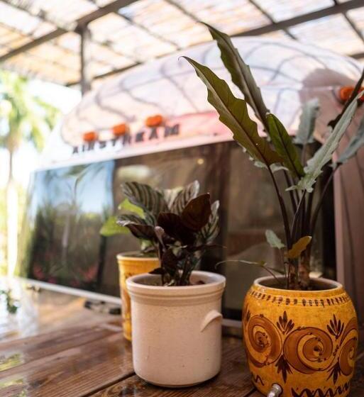 خانه 1 خوابه, Finca Victoria