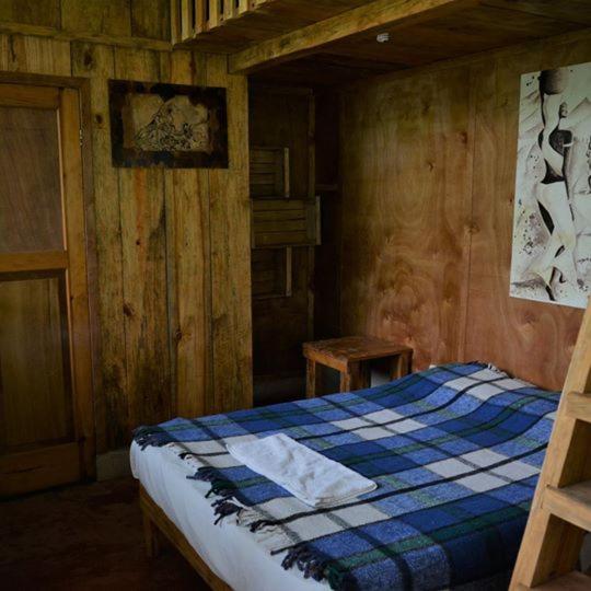 اتاق استاندارد سه نفره, Utopia Eco