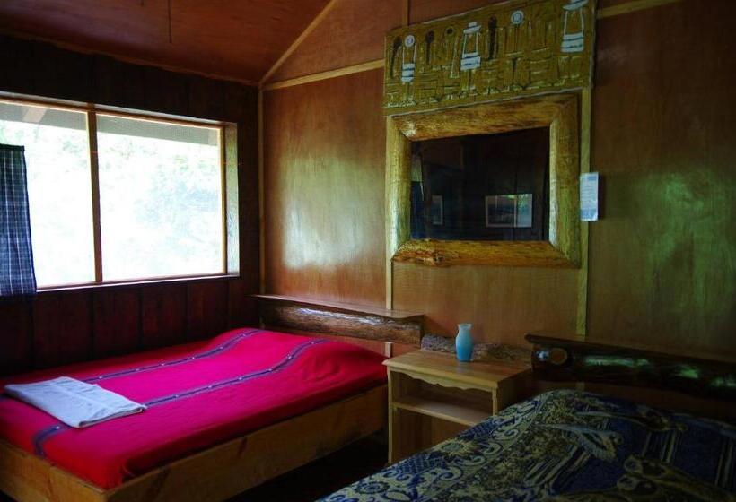 اتاق استاندارد با سرویس بهداشتی مشترک, Utopia Eco