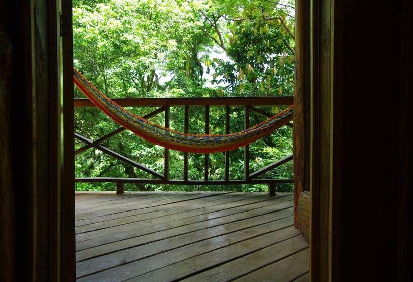 اتاق استاندارد با سرویس بهداشتی مشترک, Utopia Eco