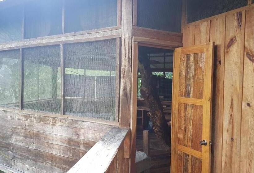 اتاق خانوادگی, Utopia Eco