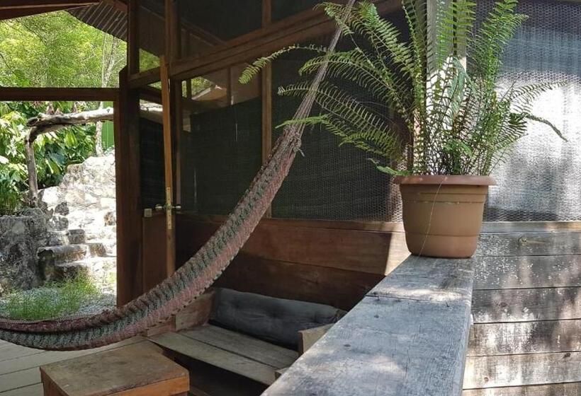 اتاق خانوادگی, Utopia Eco