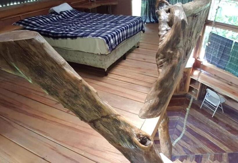 اتاق خانوادگی, Utopia Eco