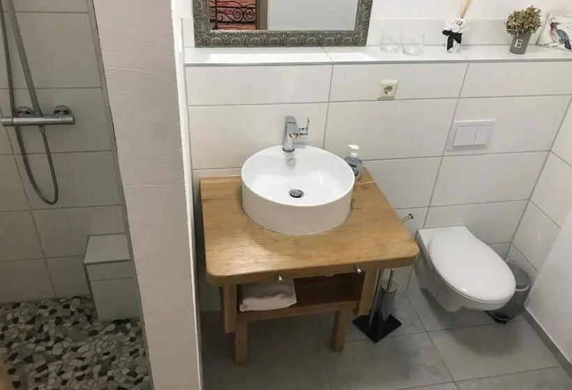 身障者適用スタンダードルーム, Pension Casa Luciko