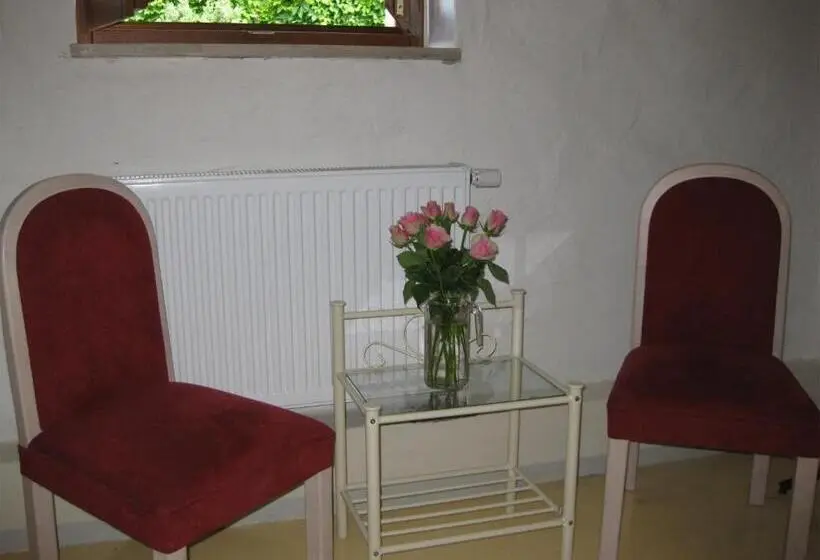 身障者適用スタンダードルーム, Pension Casa Luciko