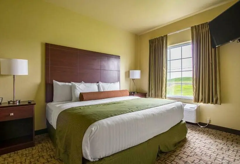 キングサイズベッドのデラックススイート, Cobblestone Hotel & Suites   Orrville