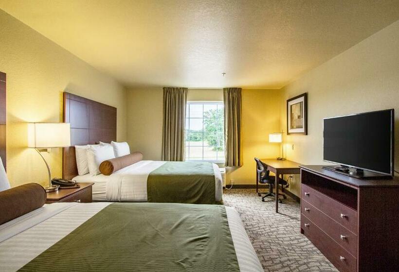 إستوديو ديلوكس, Cobblestone Hotel & Suites   Orrville