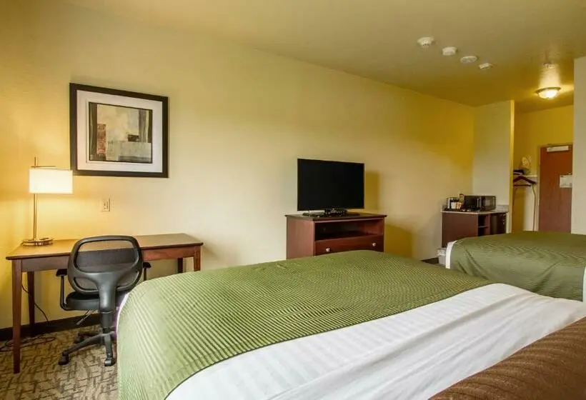 デラックススタジオ, Cobblestone Hotel & Suites   Orrville