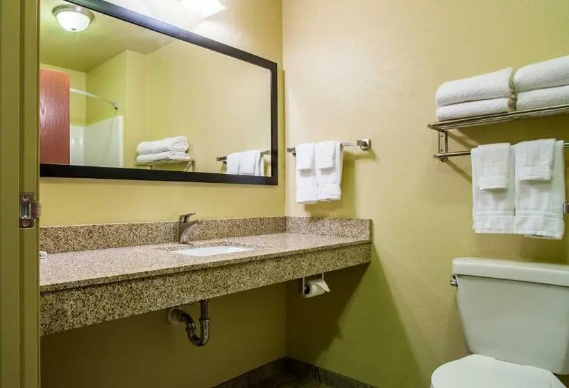 キングサイズベッドのデラックススイート, Cobblestone Hotel & Suites   Orrville