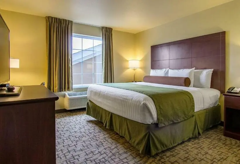 キングサイドベッドのスタンダードワンルーム, Cobblestone Hotel & Suites   Orrville