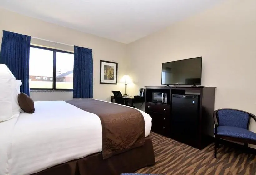身障者適用キングサイズベッドルーム, Cornerstone Inn & Suites Oelwein